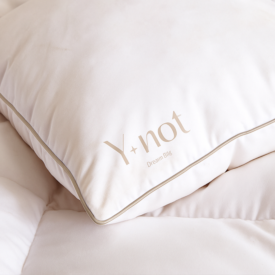 Y-NOT Daunenfeder Winter Plus / Luxus-Bettdecke Extra Warm